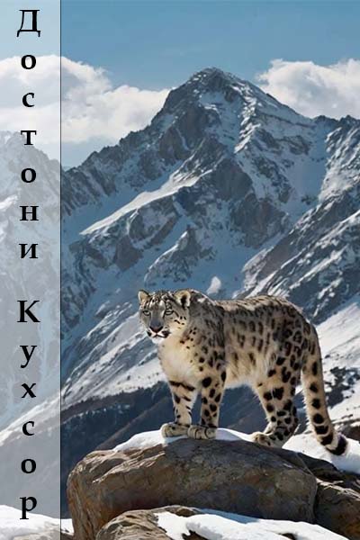 Достони куҳсор