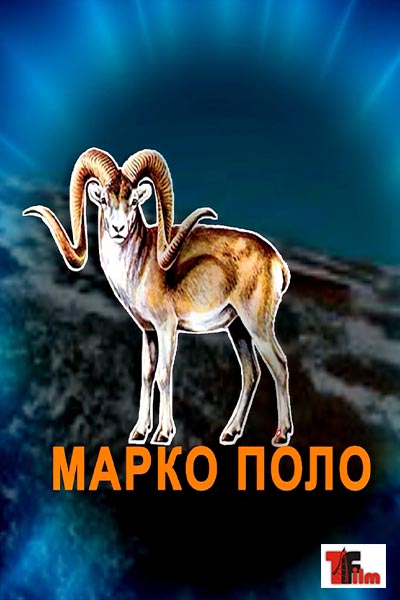 Марко  поло