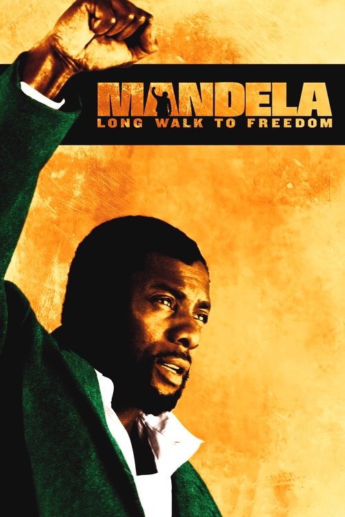 Afiche de la película Mandela: Long Walk to Freedom