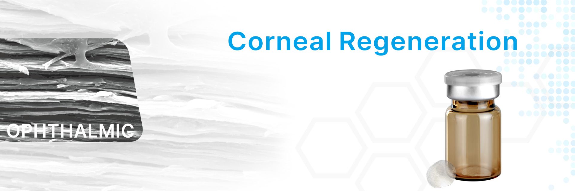 Corneal 角膜基質
